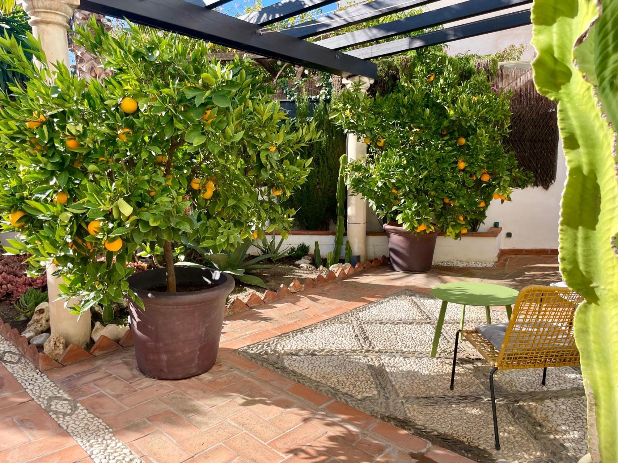 San Miguel B&B Granada Exterior photo